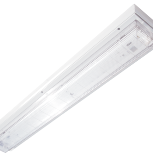 TP LED