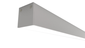 LYNX SURFACE